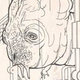 Image for article titled The kid-unfriendly coloring books of Dune